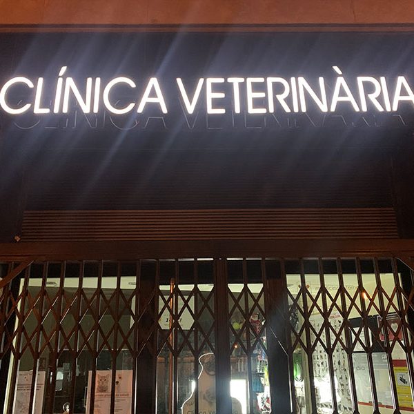 Rótulo Luminoso Clinica Veterinaria